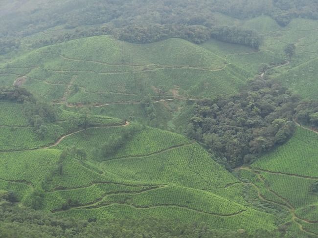 Photo of Munnar and Thekkady- Lush green tea gardens to aromatic spice plantations by Ava Mishra