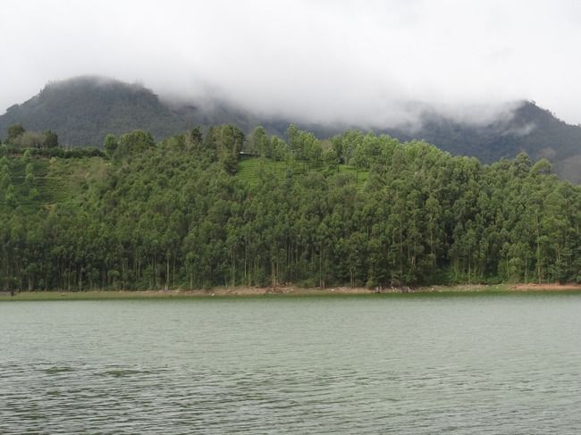 Photo of Munnar and Thekkady- Lush green tea gardens to aromatic spice plantations by Ava Mishra