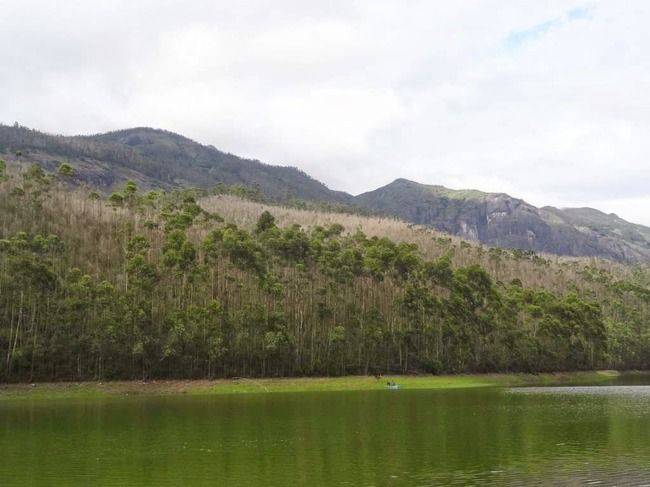 Photo of Munnar and Thekkady- Lush green tea gardens to aromatic spice plantations by Ava Mishra