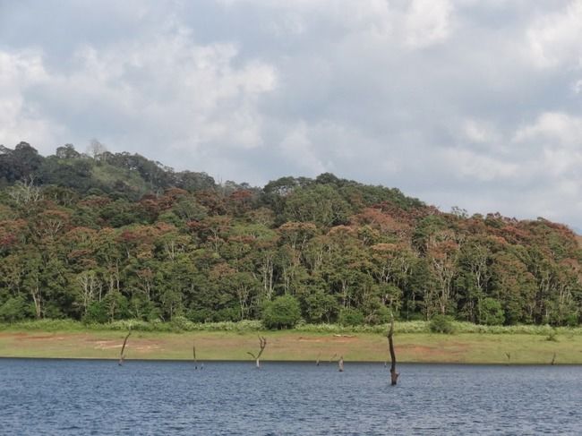 Photo of Munnar and Thekkady- Lush green tea gardens to aromatic spice plantations by Ava Mishra