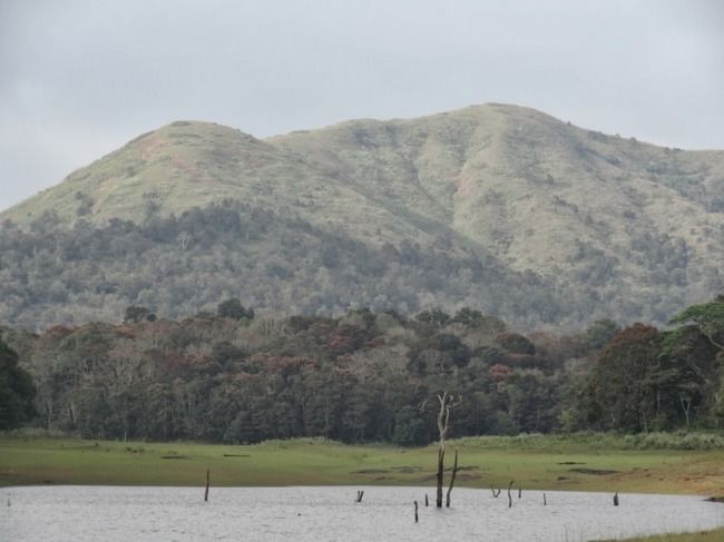 Photo of Munnar and Thekkady- Lush green tea gardens to aromatic spice plantations by Ava Mishra