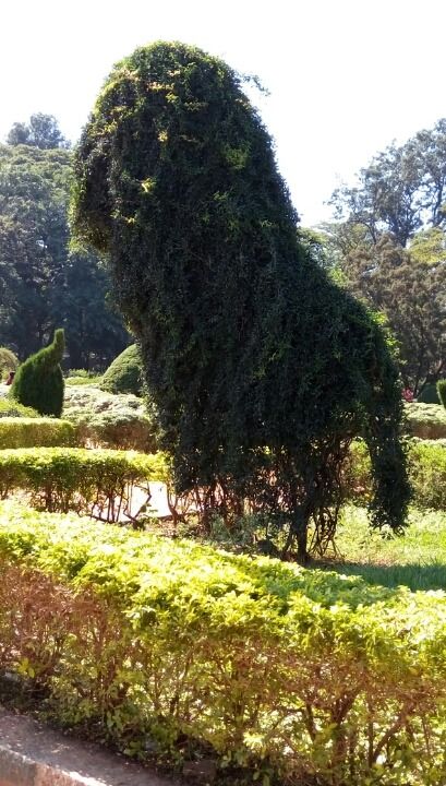 Photo of Bangalore (Part I): Exploring solo! by Nirali Desai