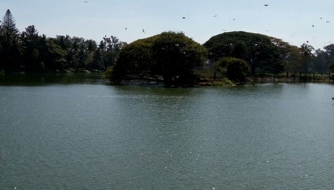 Photo of Bangalore (Part I): Exploring solo! by Nirali Desai