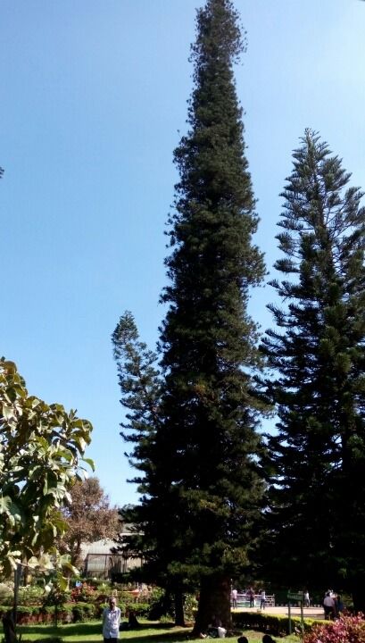 Photo of Bangalore (Part I): Exploring solo! by Nirali Desai