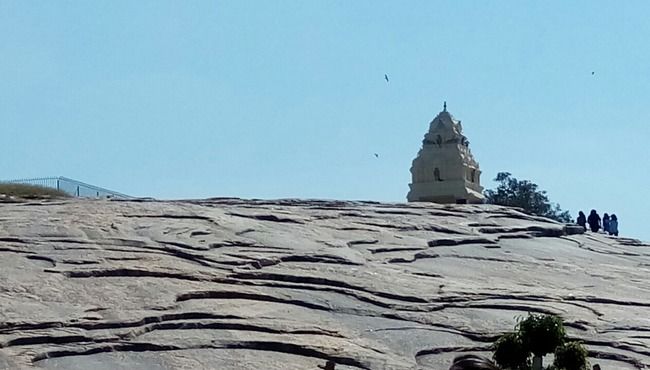 Photo of Bangalore (Part I): Exploring solo! by Nirali Desai