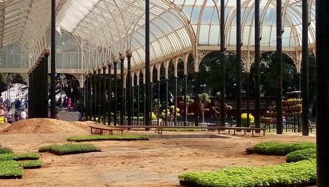 Photo of Bangalore (Part I): Exploring solo! by Nirali Desai