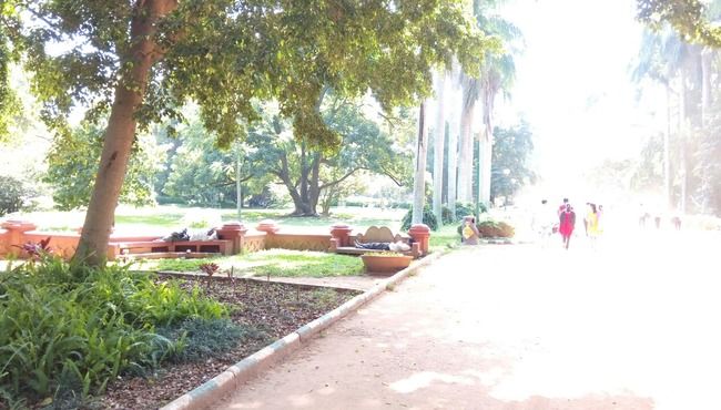Photo of Bangalore (Part I): Exploring solo! by Nirali Desai