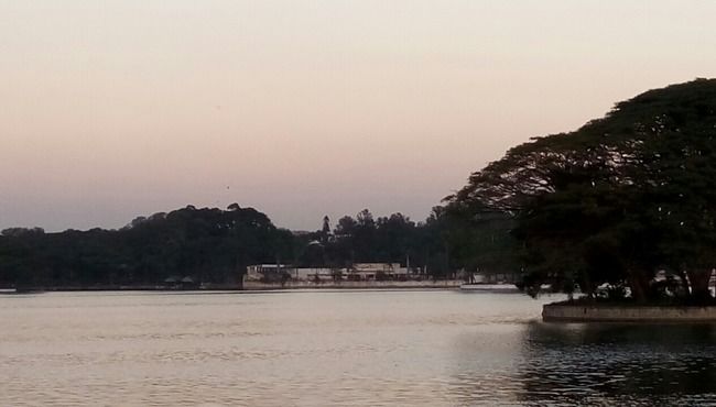 Photo of Bangalore (Part I): Exploring solo! by Nirali Desai