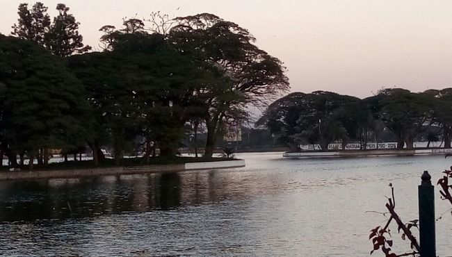 Photo of Bangalore (Part I): Exploring solo! by Nirali Desai