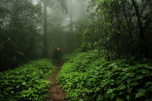 Photo of Agumbe, Karnataka, India by Avilasha Sarmah