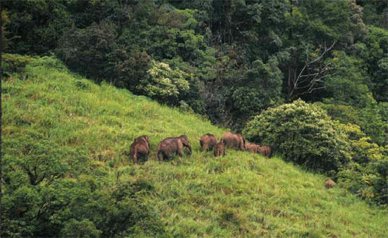 Photo of Brahmagiri, Udupi, Karnataka, India by Avilasha Sarmah