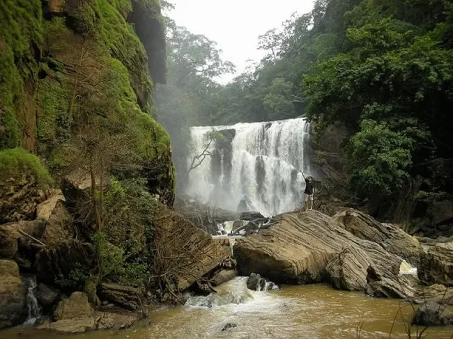Photo of Muthyala Madavu, Gandhi Nagar, Bengaluru, Karnataka, India by Shifa Thobani