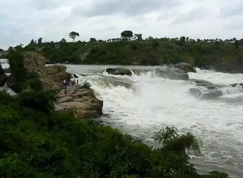 Photo of Chunchanakatte Water Fall, Haleyuru, Karnataka, India by Shifa Thobani