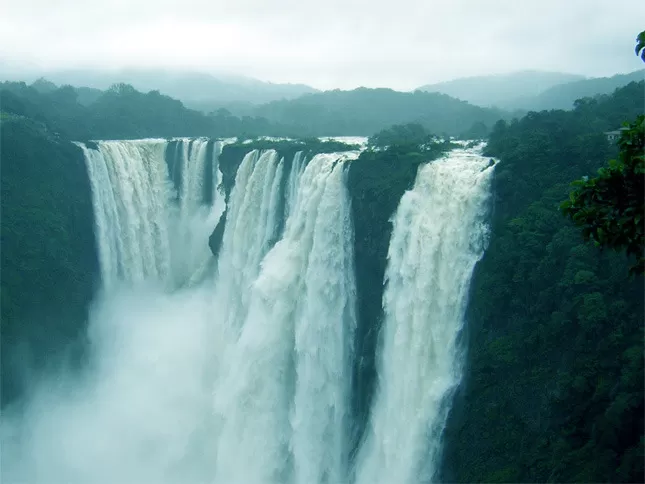 Photo of Jog Falls, Karnataka, India by Shifa Thobani
