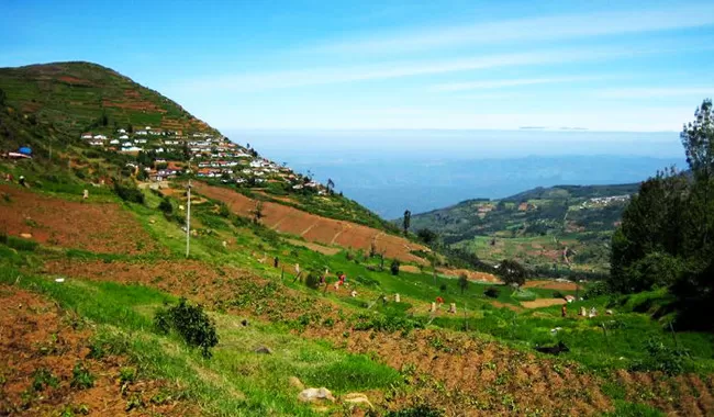 Photo of Doddabetta Peak, Nilgiris, Tamil Nadu, India by Sheeba