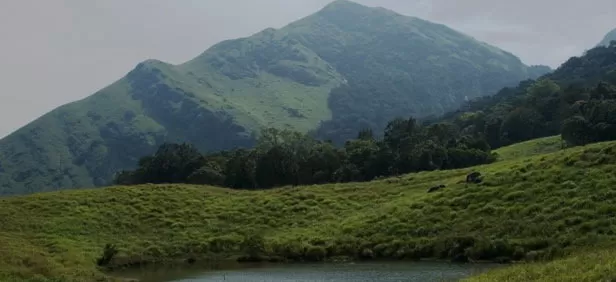 Photo of Kolaribetta, Nilgiris, Tamil Nadu, India by Sheeba