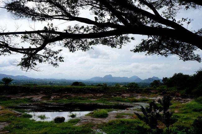 Photo of Kabbaladurga Hill Trek by Sal