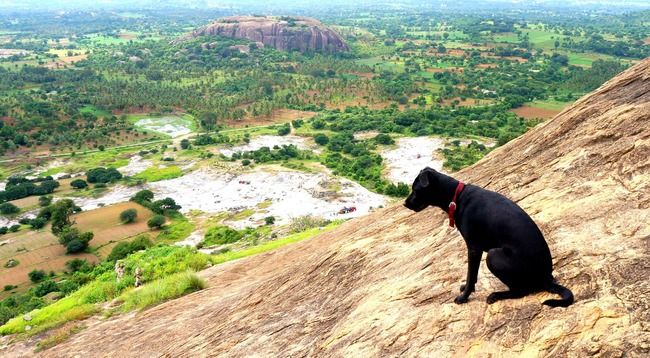 Photo of Kabbaladurga Hill Trek by Sal