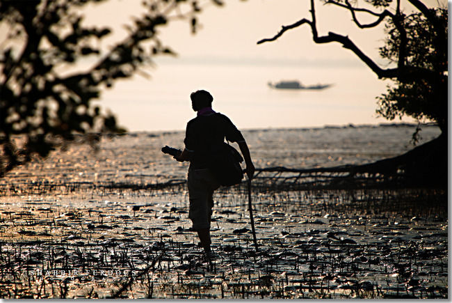 Photo of Sundarbans by Shazy Buoy's Travel Diaries