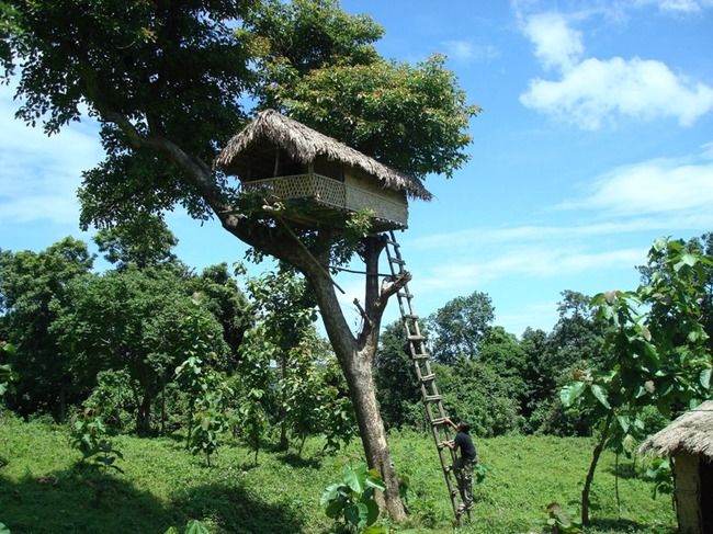 Photo of Balpakram National Park, South Garo Hills, Meghalaya, India by Shazy Buoy's Travel Diaries
