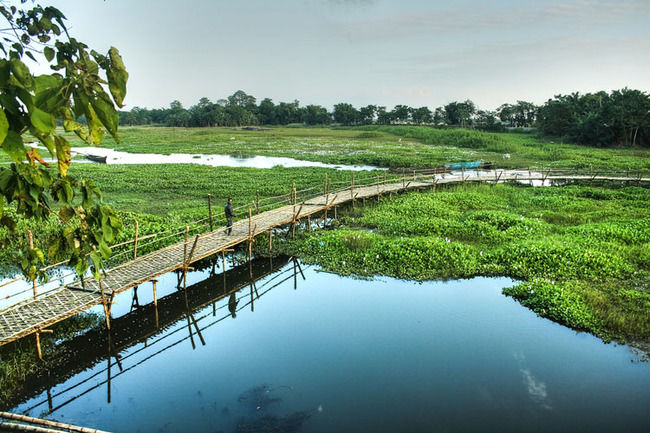 Photo of Majuli, Assam, India by Shazy Buoy's Travel Diaries