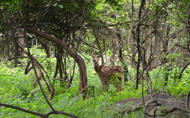 Photo of 20 Unique Places In India You Must Visit NOW Because They Won’t Exist For Too Long by Shazy Buoy's Travel Diaries