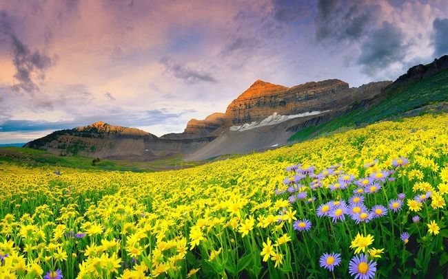 Photo of 20 Unique Places In India You Must Visit NOW Because They Won’t Exist For Too Long by Shazy Buoy's Travel Diaries