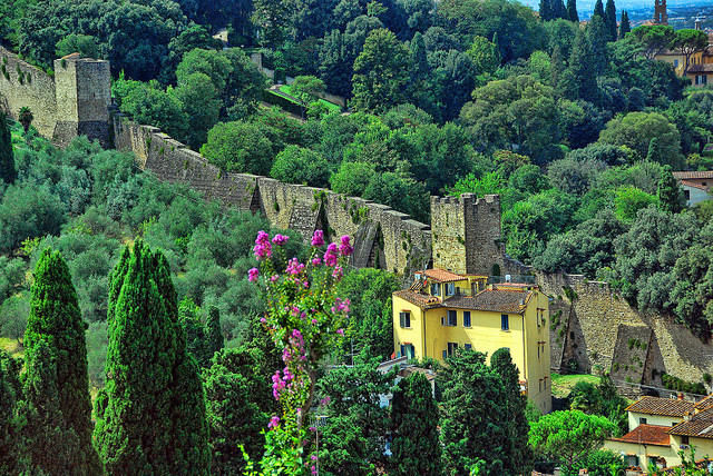 Photo of Rome, Italy by Anmol Arora (Boring Traveller)