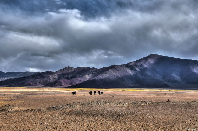 Photo of The Real Beauty Of Ladakh Is Hidden Between Point A To Point B by Janil Gada