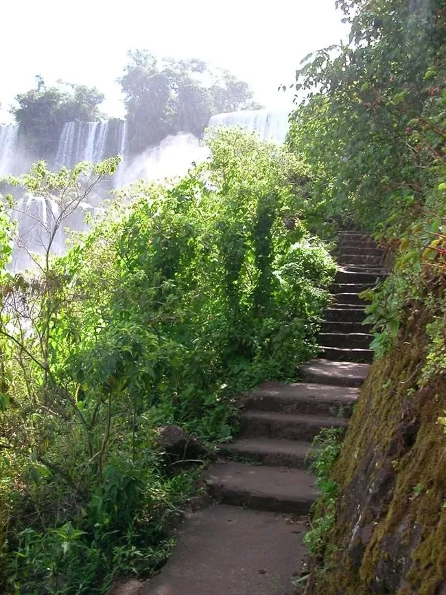 Photo of We've Seen Beautiful Waterfalls, But Not Anything Like This by S D Hollick
