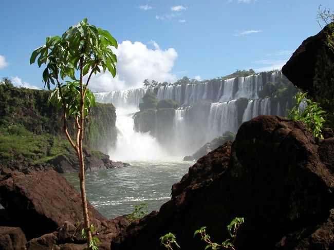 Photo of We've Seen Beautiful Waterfalls, But Not Anything Like This by S D Hollick