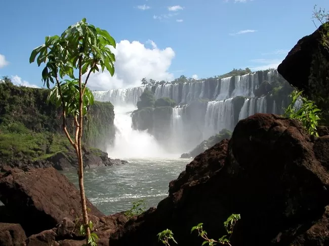 Photo of We've Seen Beautiful Waterfalls, But Not Anything Like This by S D Hollick