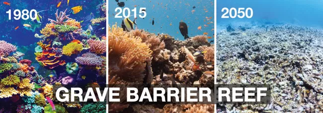 Photo of The Greatest Reef In The World Has Been Pronounced Dead Because Of Global Warming! by Pritha Puri