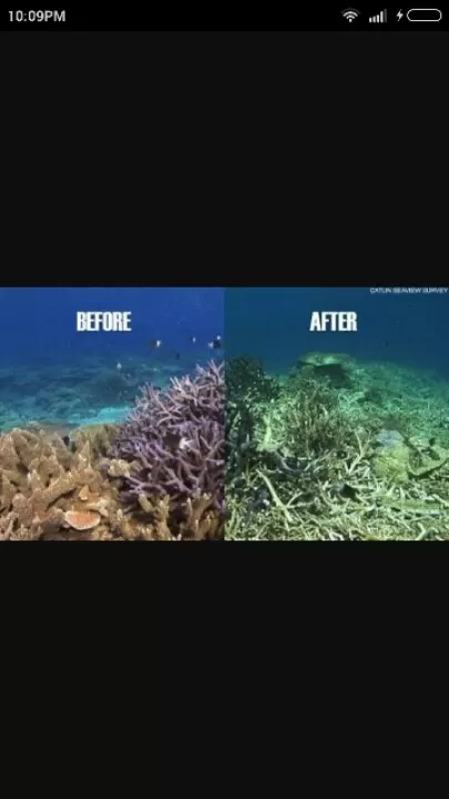 Photo of Great Barrier Reef, Queensland, Australia by Monisha