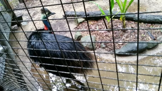 Photo of Hamilton Island, Hamilton Island, Queensland, Australia by Kanika Gupta