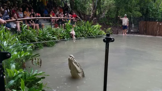 Photo of Hamilton Island, Hamilton Island, Queensland, Australia by Kanika Gupta