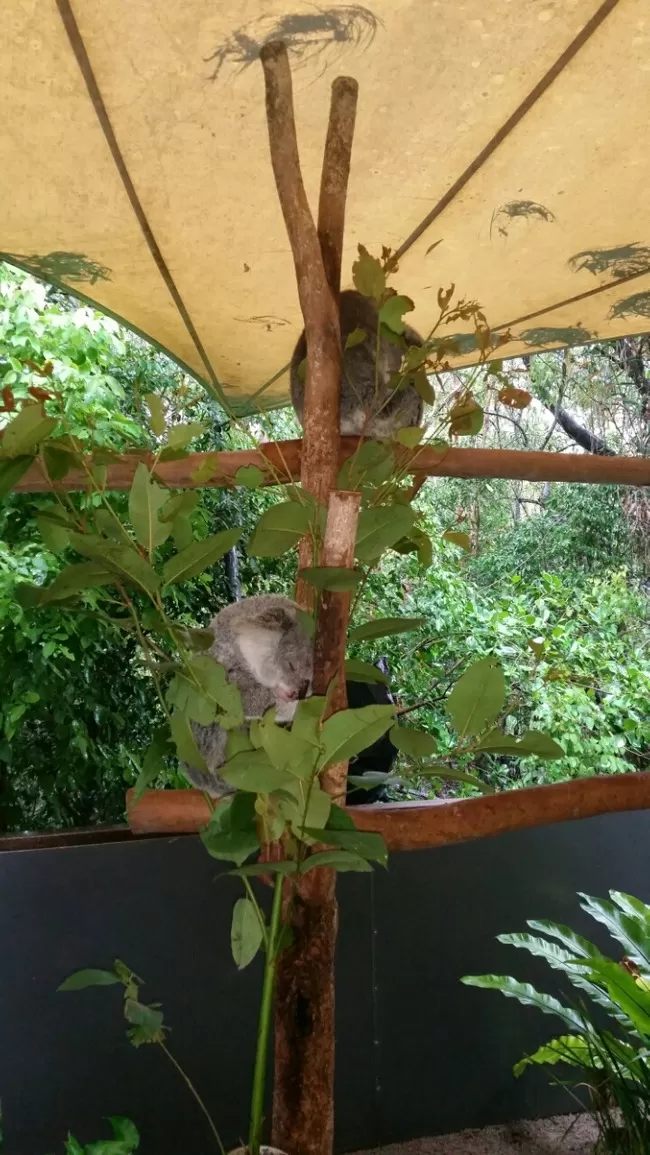 Photo of Hamilton Island, Hamilton Island, Queensland, Australia by Kanika Gupta