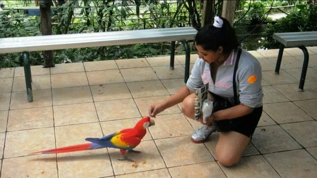 Photo of Kuranda Rainforest Retreat, Green Hills Road, Kuranda, Queensland, Australia by Anushree Kedia Jalan