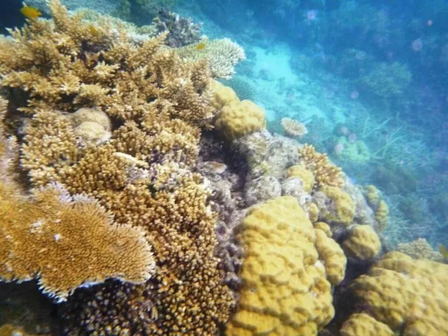 Photo of Kuranda Rainforest Retreat, Green Hills Road, Kuranda, Queensland, Australia by Anushree Kedia Jalan