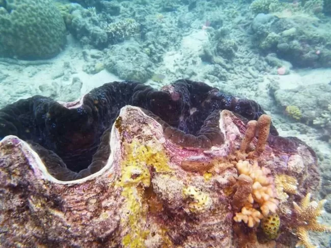 Photo of Kuranda Rainforest Retreat, Green Hills Road, Kuranda, Queensland, Australia by Anushree Kedia Jalan