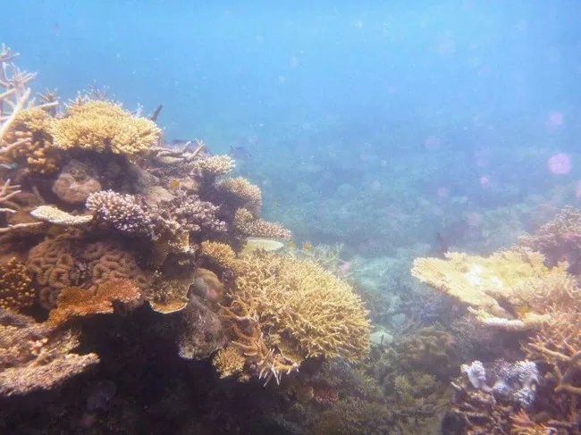 Photo of Kuranda Rainforest Retreat, Green Hills Road, Kuranda, Queensland, Australia by Anushree Kedia Jalan