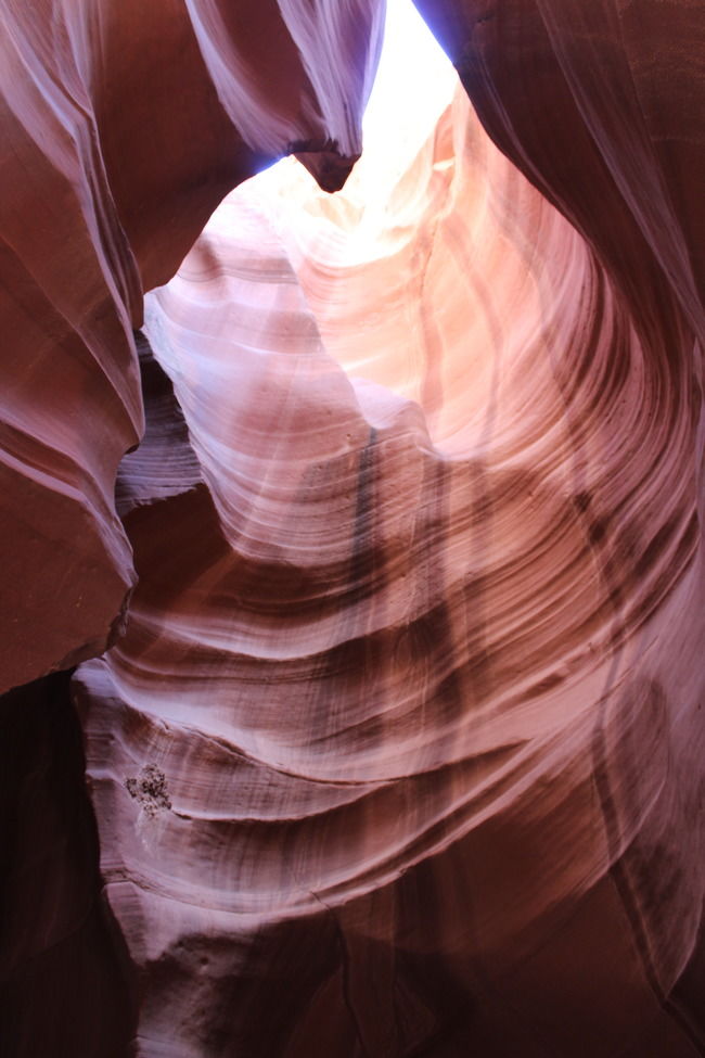 Photo of 16 hours of Drive through the Grand Canyon by Jatin Jindal