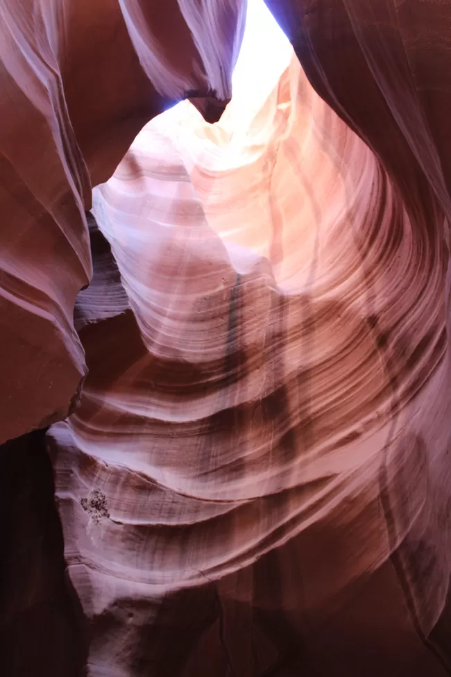 Photo of 16 hours of Drive through the Grand Canyon by Jatin Jindal