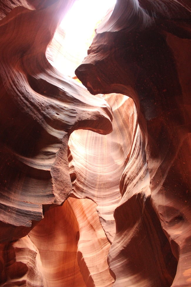 Photo of 16 hours of Drive through the Grand Canyon by Jatin Jindal