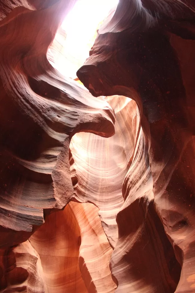 Photo of 16 hours of Drive through the Grand Canyon by Jatin Jindal