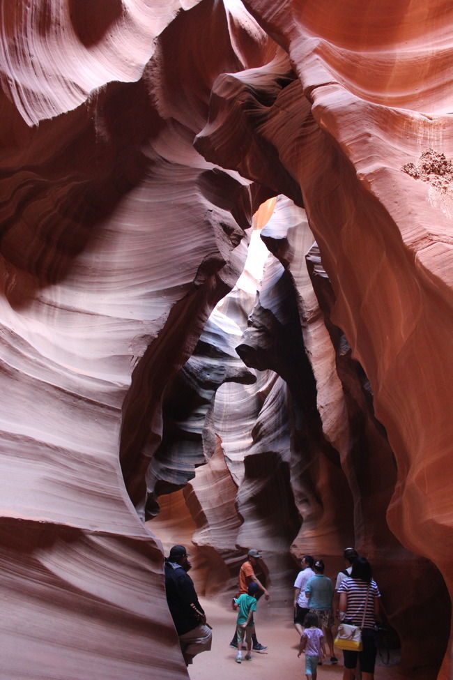 Photo of 16 hours of Drive through the Grand Canyon by Jatin Jindal