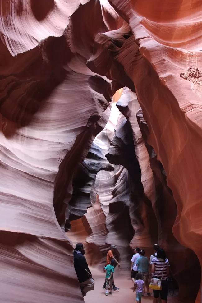 Photo of 16 hours of Drive through the Grand Canyon by Jatin Jindal