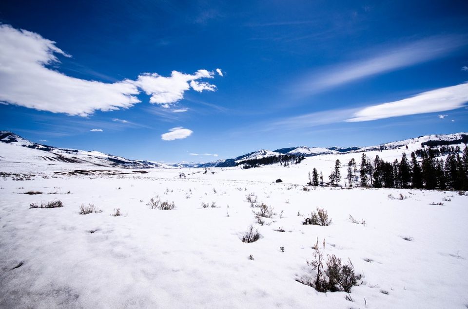 Photo of Lamar Valley, Northeast Entrance Road, Yellowstone National Park, WY, United States by Priyakanth Manda