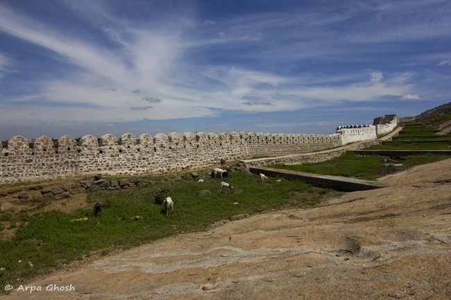 Photo of Bhongir - the forgotten town by Madhumita Banerjee