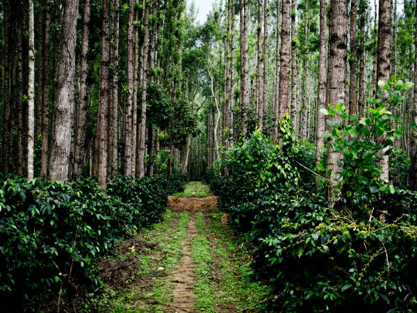 Photo of 10 must visit places in India, before you die! by Shikha Singh